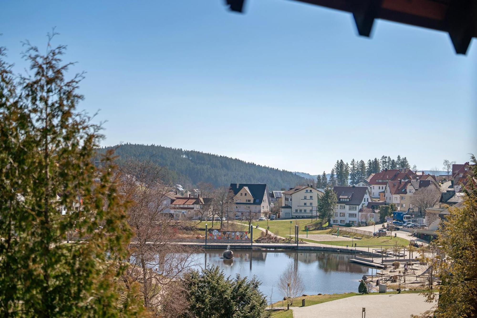 Ferienwohnung Karin Schonach im Schwarzwald Exterior foto